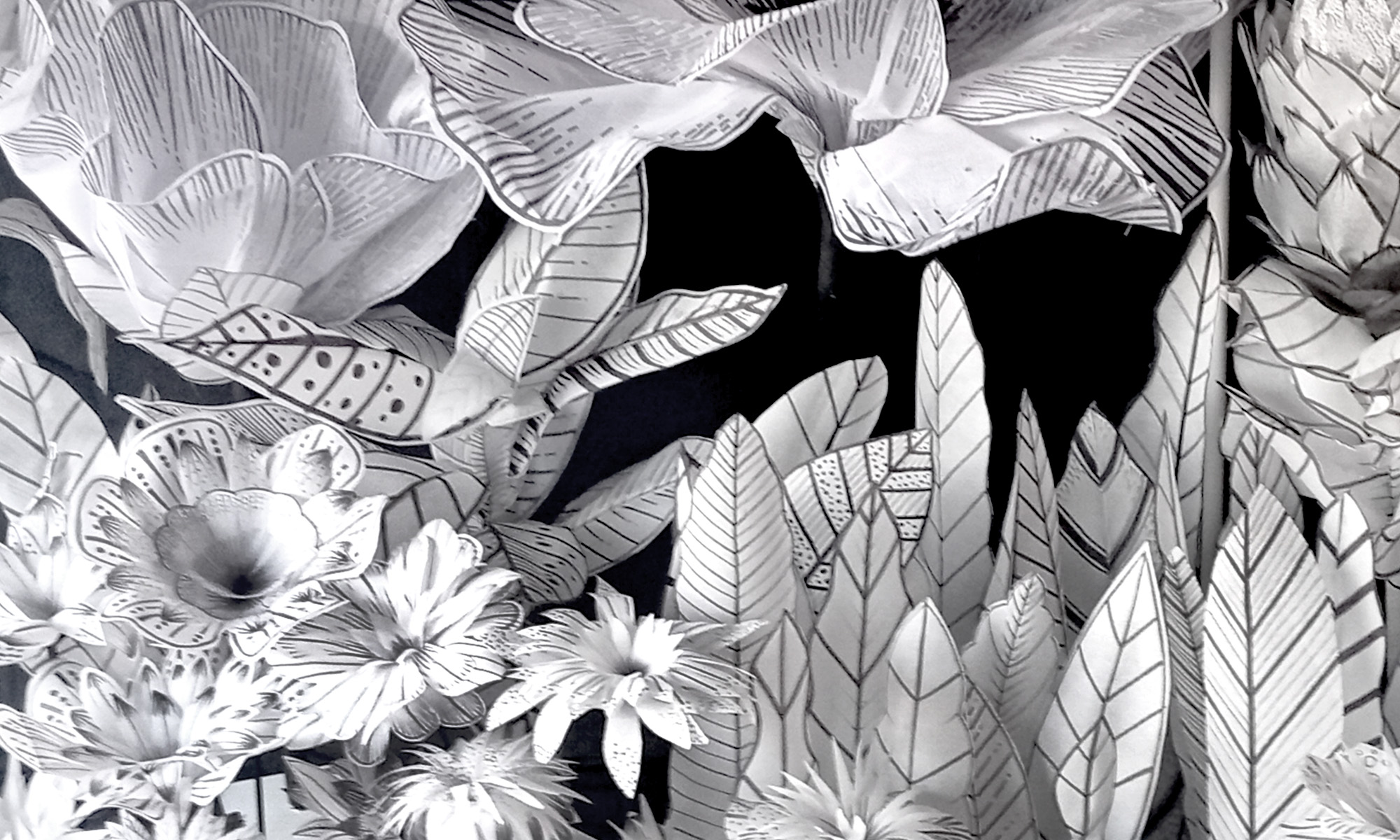 hand drawn flora proactive work