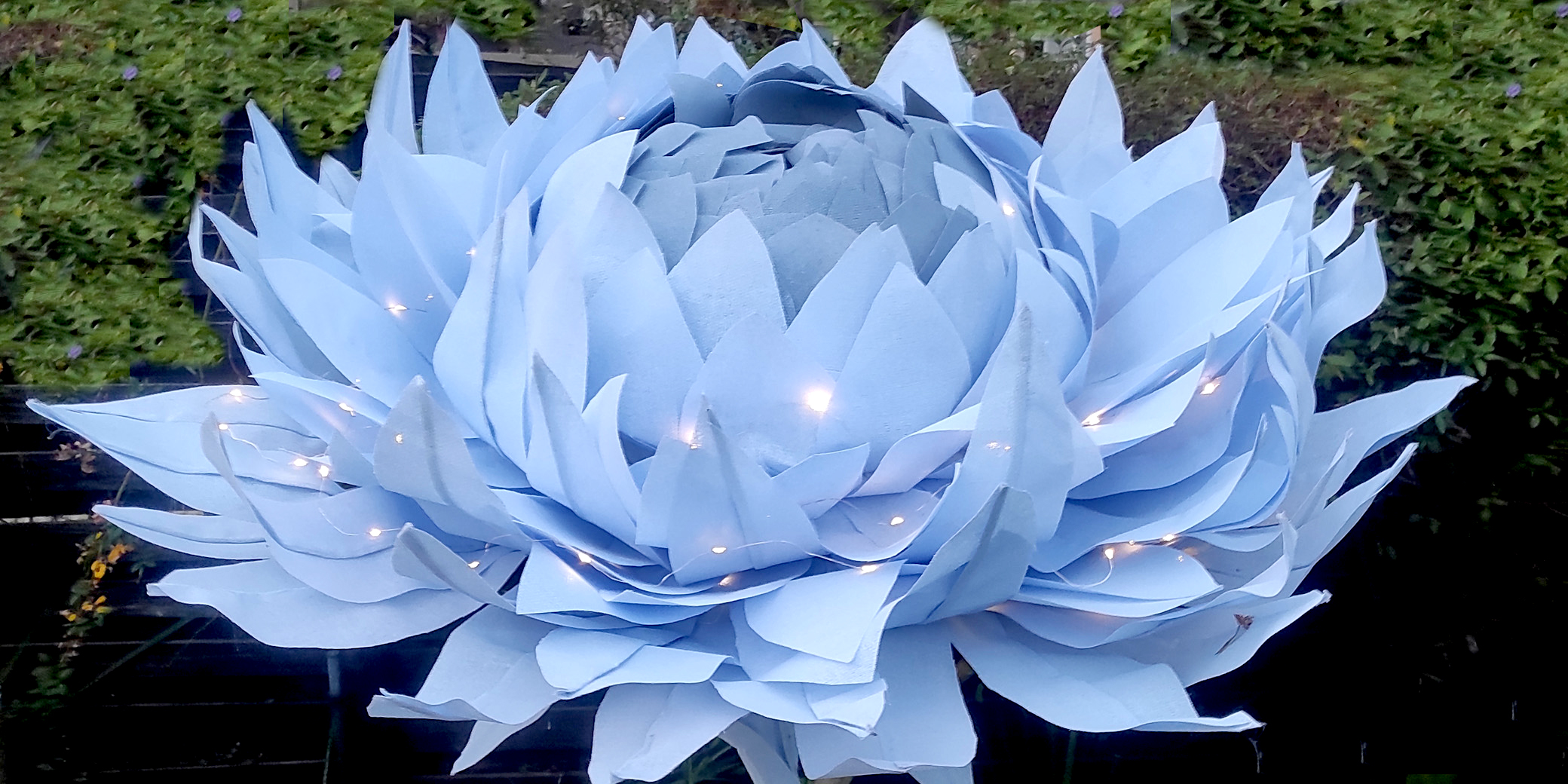 Blue Night Flower