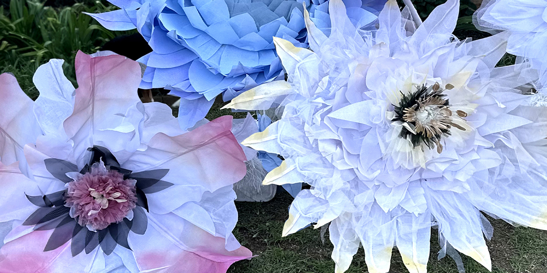 Red, White, Blue Flower