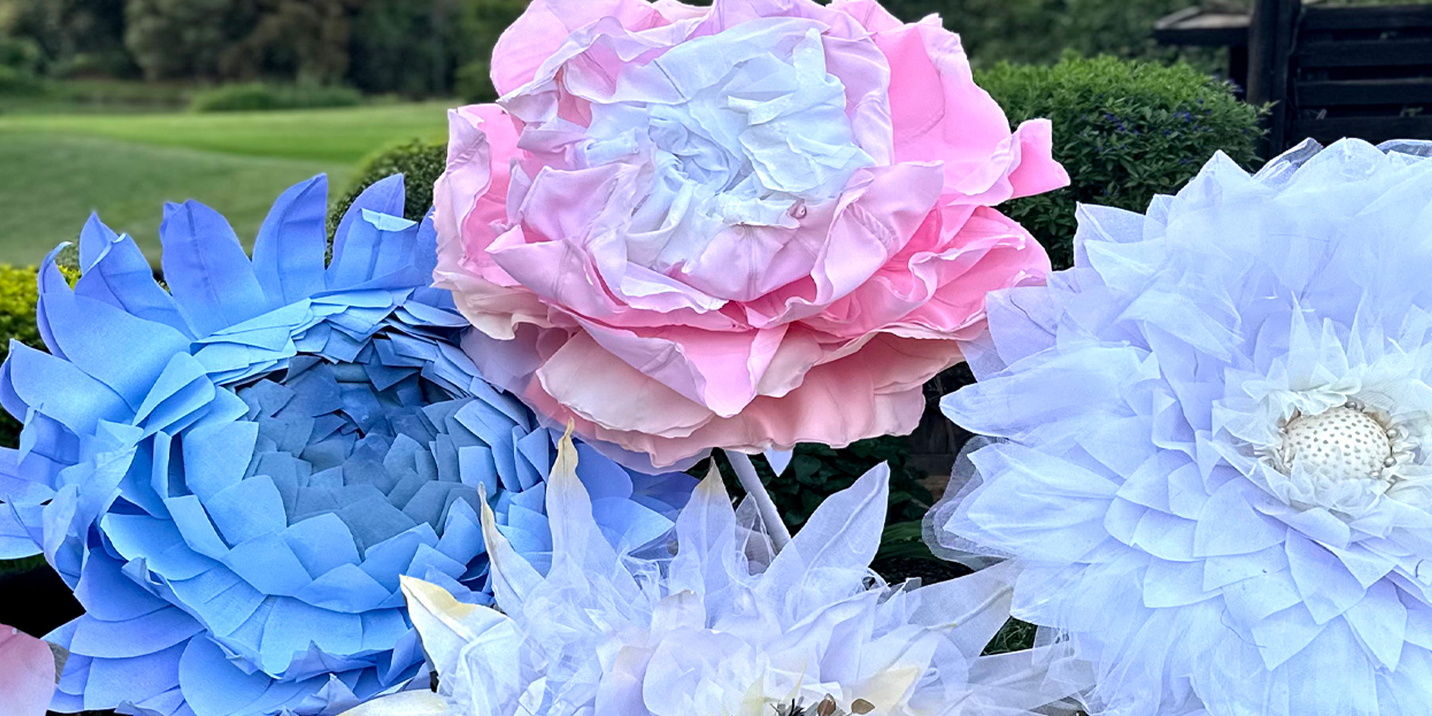 Blue, Pink, White Flower