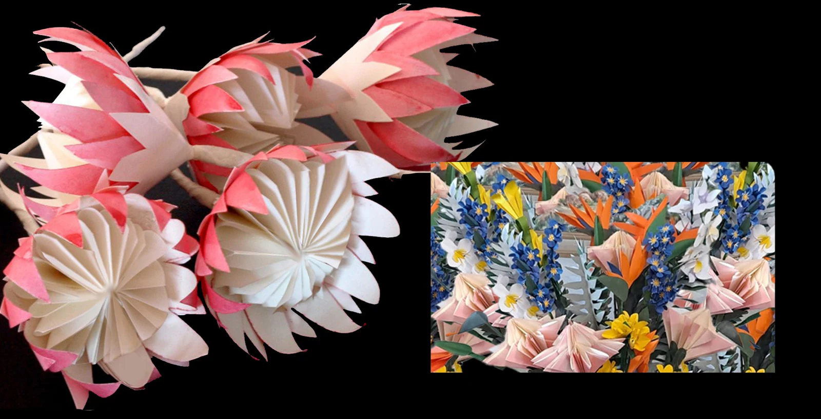 A giant paper protea in pink, with a tropical display beside it
