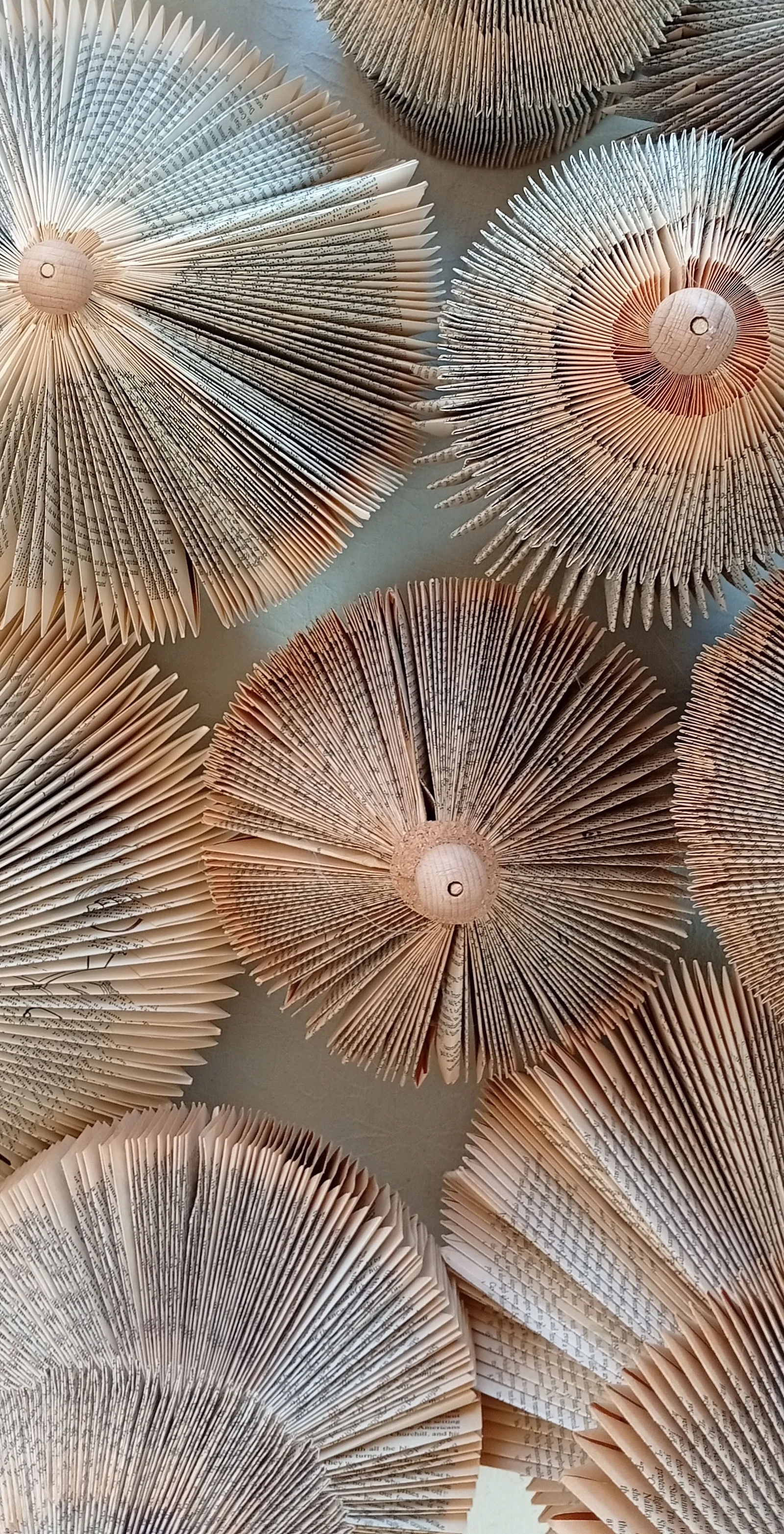 Old books folded into round fans of pages, standing in a row