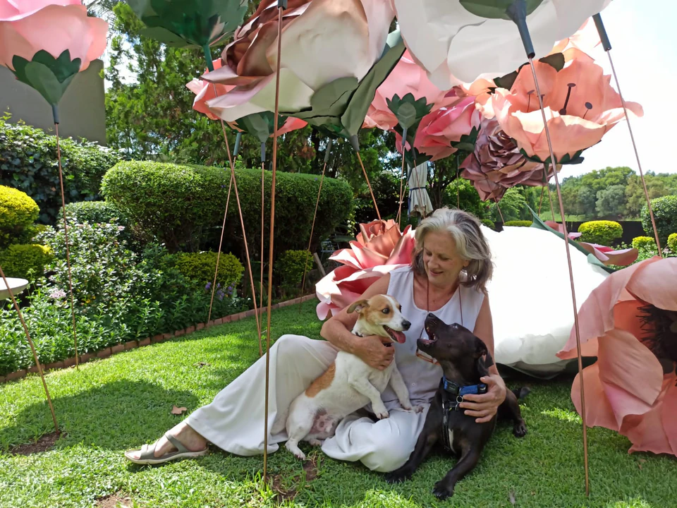 Hazel sitting on the lawn with two dogs, under a garden of giant paper roses on tall stems